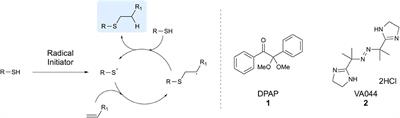 Applications of Thiol-Ene Chemistry for Peptide Science